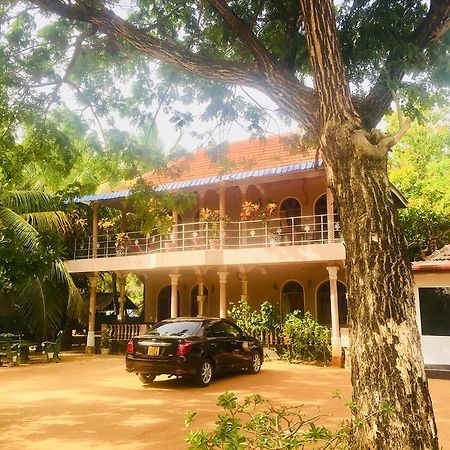 New Land Guest House 拜蒂克洛 外观 照片