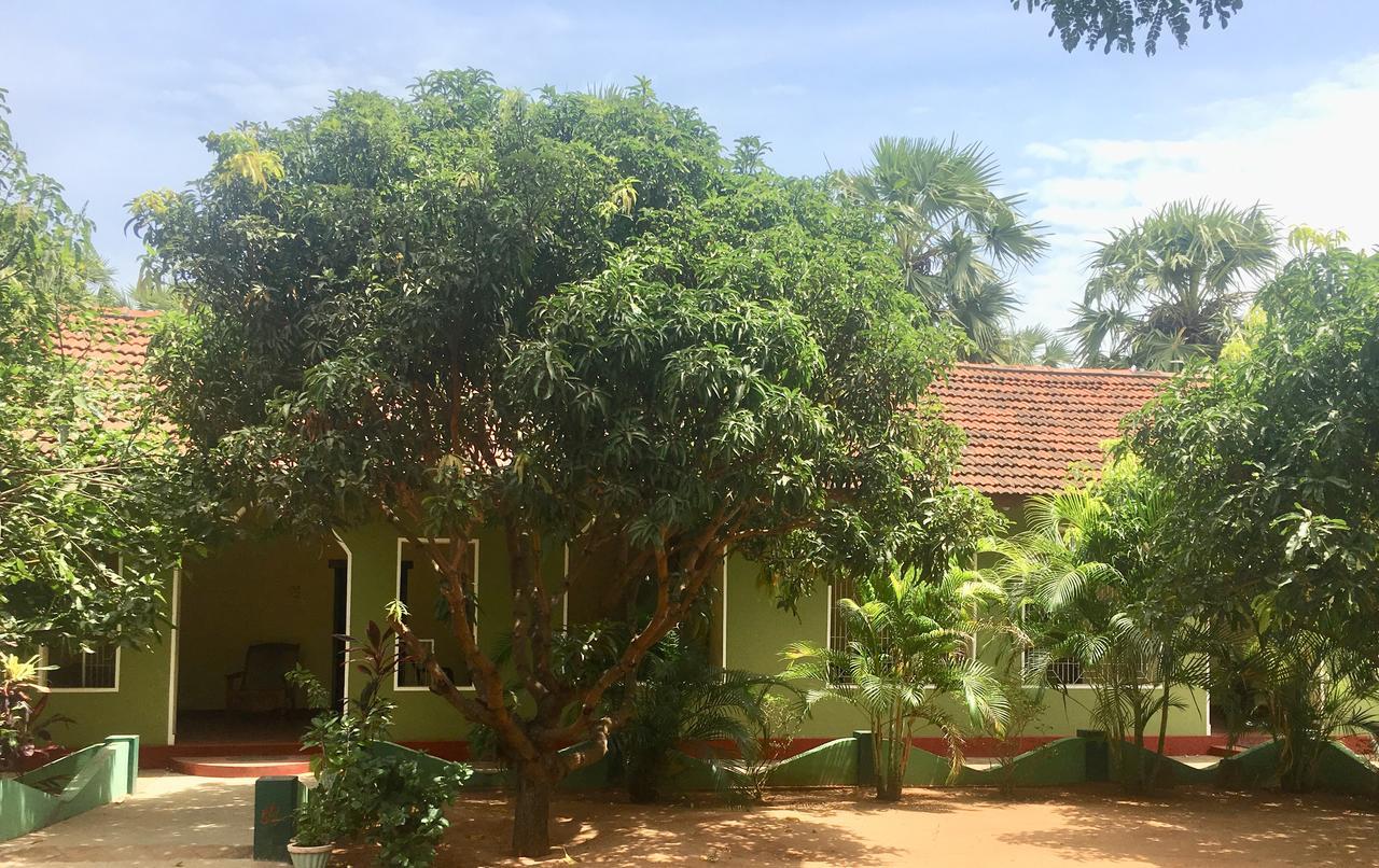 New Land Guest House 拜蒂克洛 外观 照片