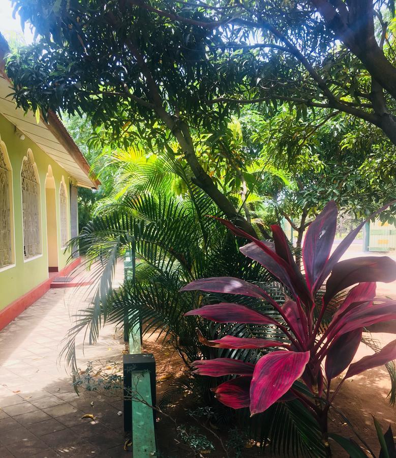 New Land Guest House 拜蒂克洛 外观 照片